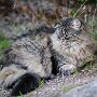 Sissel_22