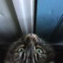 Sissel_4