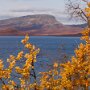 Ruskaresa_K67-20092007_102