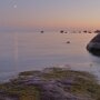 Varlaxudden-22082015_DSC0115_01
