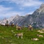 Montafon-08072016_DSC0063_03