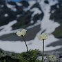Montafon-06072016_DSC0018