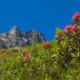 Montafon-07072016_DSC0043_01