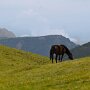 ValGardena-18072019_DSC7453_02