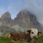 ValGardena-19072019_DSC7520